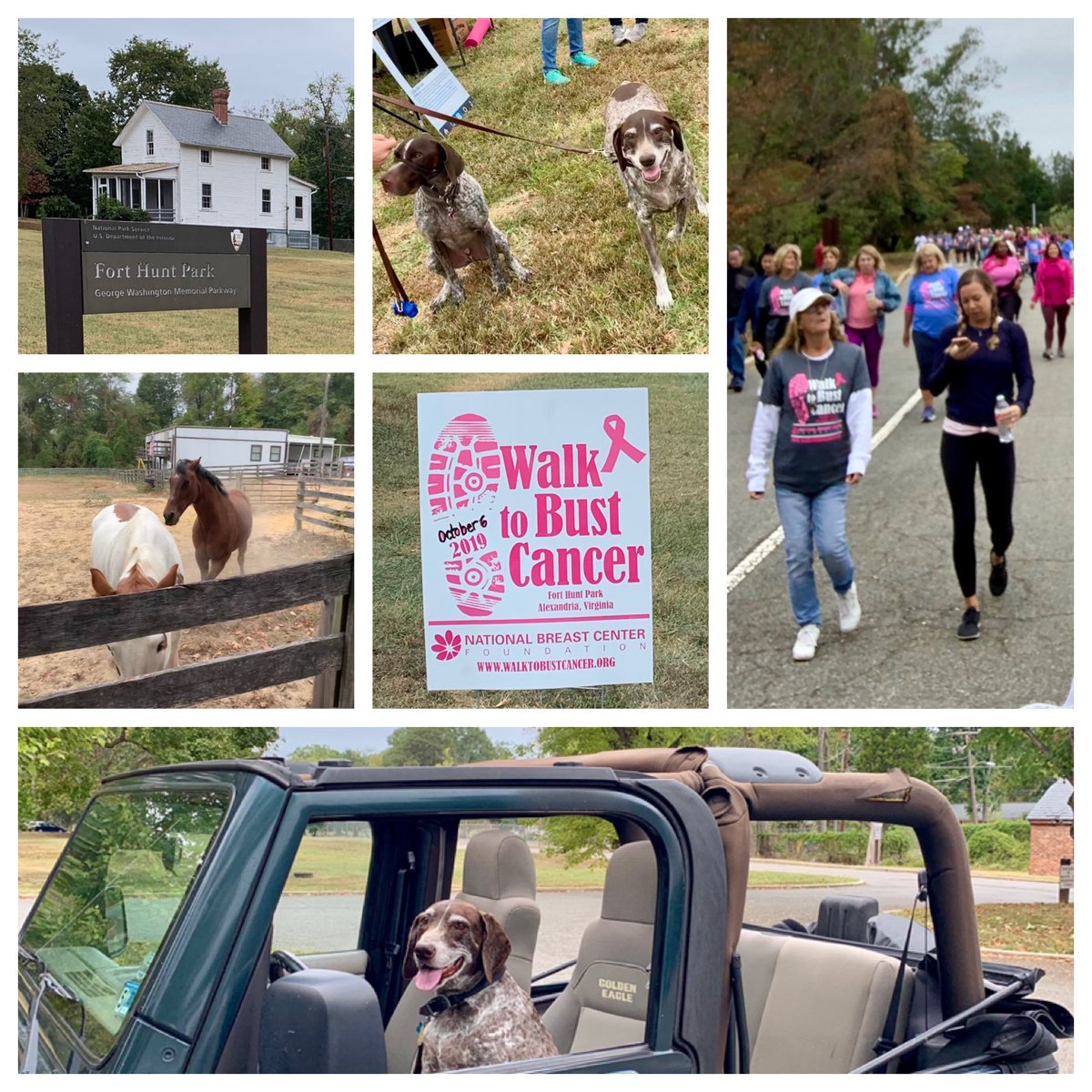 NealDenton's tweet photo. Out for walk w Dexter and walked alongside @nbcfoundation #advocates at #FortHunt in #WalkToBustCancer. He said hello to the @NtnlParkService horses and another #GSP while walking with the crowd! #FindYourPark https://t.co/XCfmguih8Q