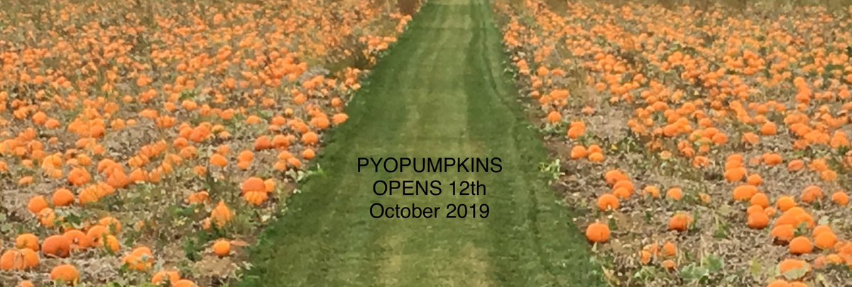 PYOPumpkins's tweet photo. #Pyopumpkins #pickyourownpumpkin #belunclefarm https://t.co/b1OGT9411o
