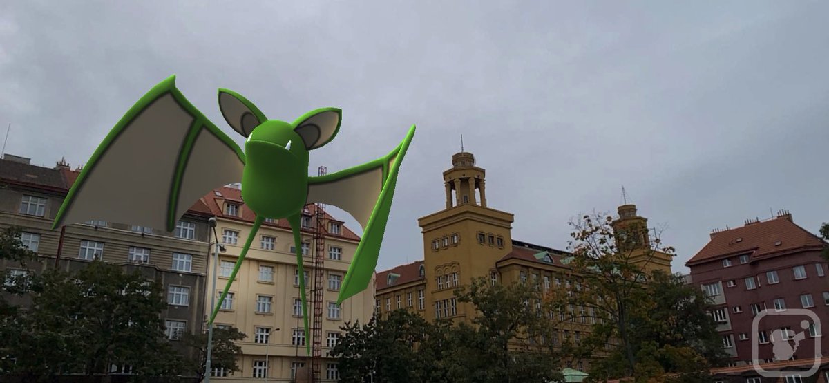 TotoLeti's tweet photo. #TotoTips
Retweet if you can, so that this message reaches TrainerTips! ~This is Giselle, the green bat. Some of the typical urban architecture can be seen in the background. Giselle was so excited to be today’s model that she soon had much larger wings to flap around! 🦇✨ https://t.co/gRl9DlWXYn