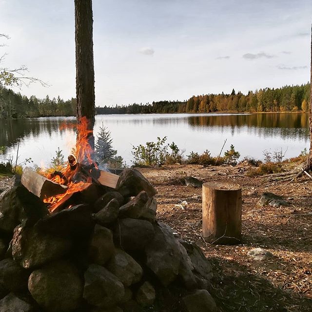 GrillplatserNu's tweet photo. Idag plockade vi trattkantareller innan vi åkte till Lövåssjön där vi åt och fikade i eftermiddagens solsken. Nästan vindstilla och fin utsikt över sjön från vindskyddet.
#eldstad #friluftsliv #fiskesjö https://t.co/LB2jNHjF4B
