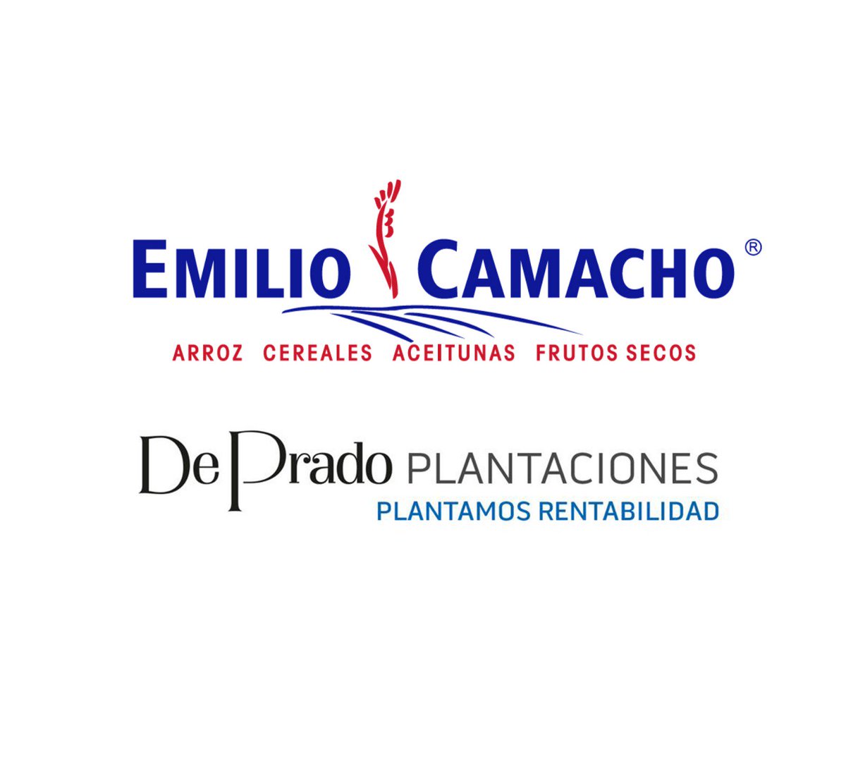 CD Don Benito tweet media