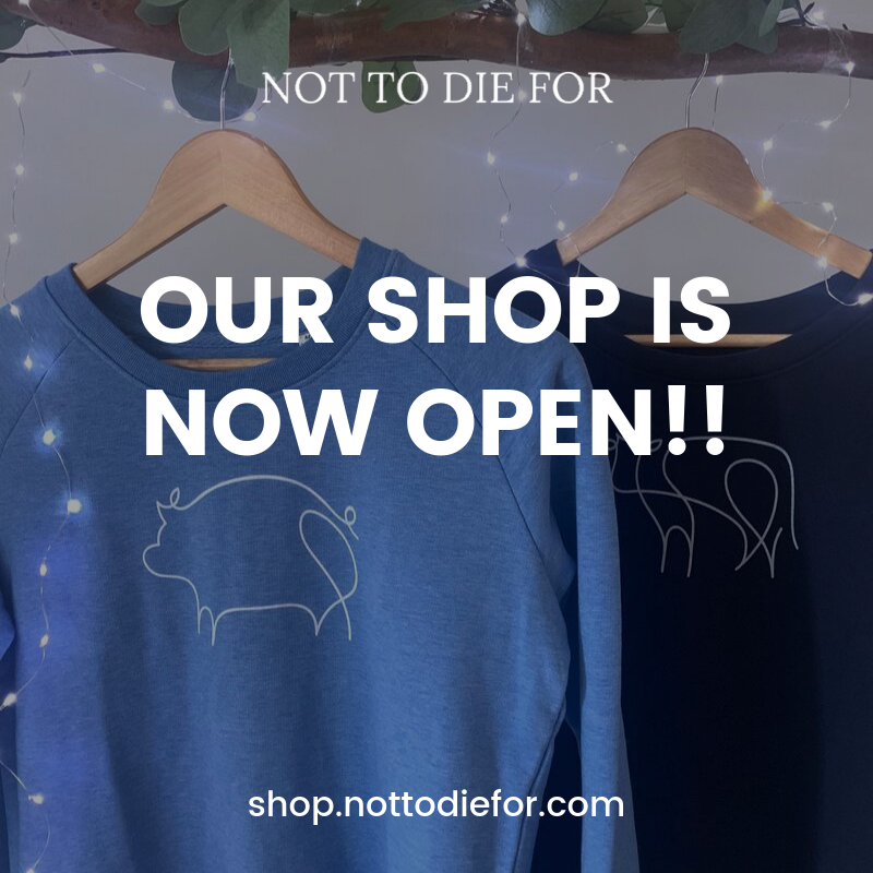 NotToDieFor's tweet photo. We are SO excited to announce the launch of our online shop https://t.co/xDLVZNtfk4 ! 10% of every sale will be donated to an animal charity, sanctuary or welfare organisation. We are proud to be donating to the wonderful Happyfields Animal Sanctuary over the next few months 🐷💚 https://t.co/FYVBy4zVbK