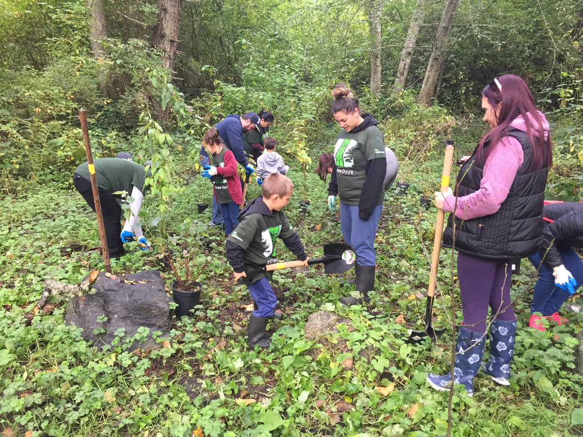 EllieSiggia's tweet image. Thank you to our wonderful volunteers in helping us plant 150 trees/shrubs at Portage Park.  @GVGreenTeam #tdtreedays #proudTDemployee