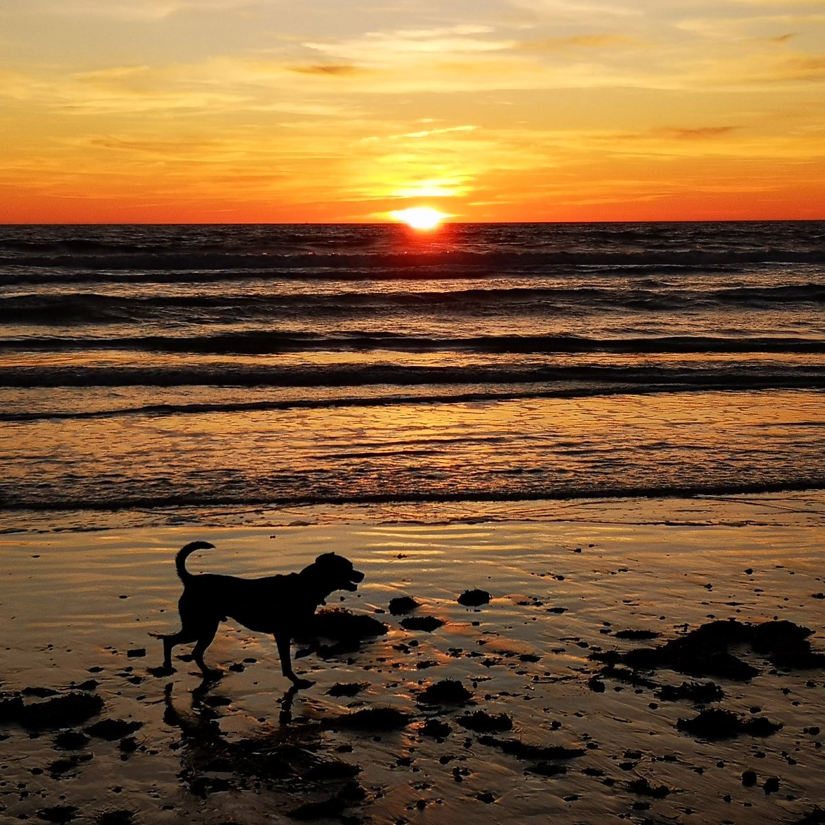 rocotero's tweet image. #reconectando