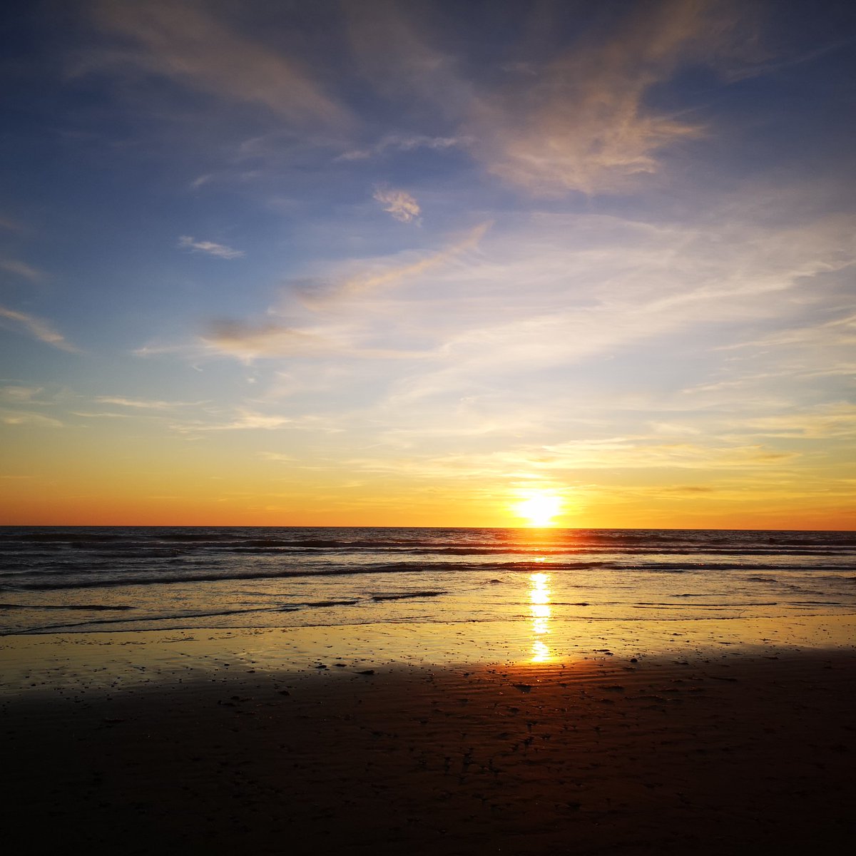 rocotero's tweet image. #reconectando