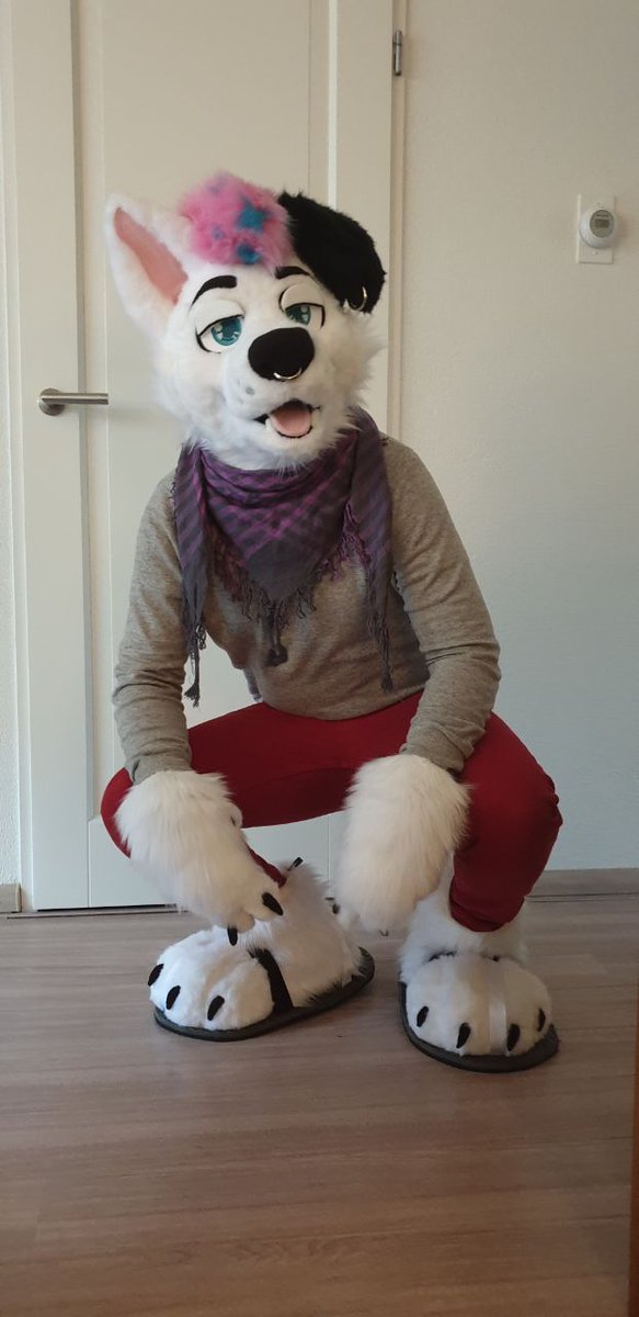 Bruce_TSHD's tweet image. BRUCE IS FINISHED, BABY! ❤
Without the amazing work of @FoxiesCreations this wouldn't have been possible😭
I had no belt with me, so stay tuned for pics with my tail! ❤

🖌 @FoxiesCreations 
📸 @merlantha_