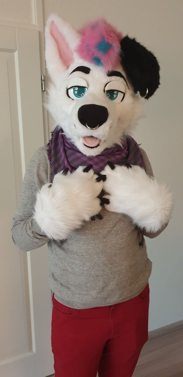 Bruce_TSHD's tweet image. BRUCE IS FINISHED, BABY! ❤
Without the amazing work of @FoxiesCreations this wouldn't have been possible😭
I had no belt with me, so stay tuned for pics with my tail! ❤

🖌 @FoxiesCreations 
📸 @merlantha_