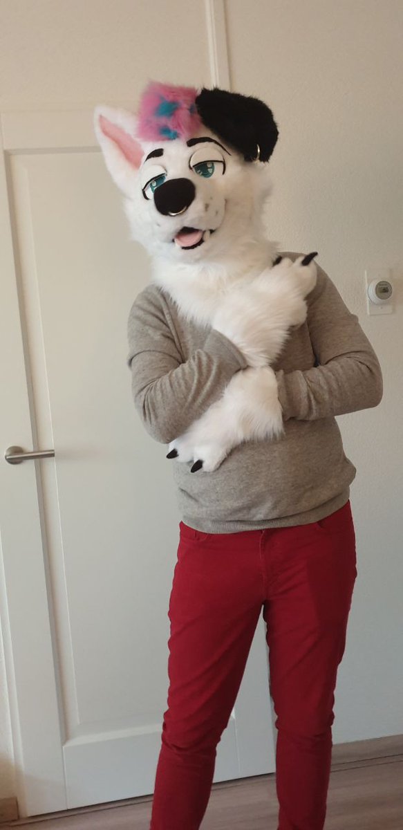 Bruce_TSHD's tweet image. BRUCE IS FINISHED, BABY! ❤
Without the amazing work of @FoxiesCreations this wouldn't have been possible😭
I had no belt with me, so stay tuned for pics with my tail! ❤

🖌 @FoxiesCreations 
📸 @merlantha_