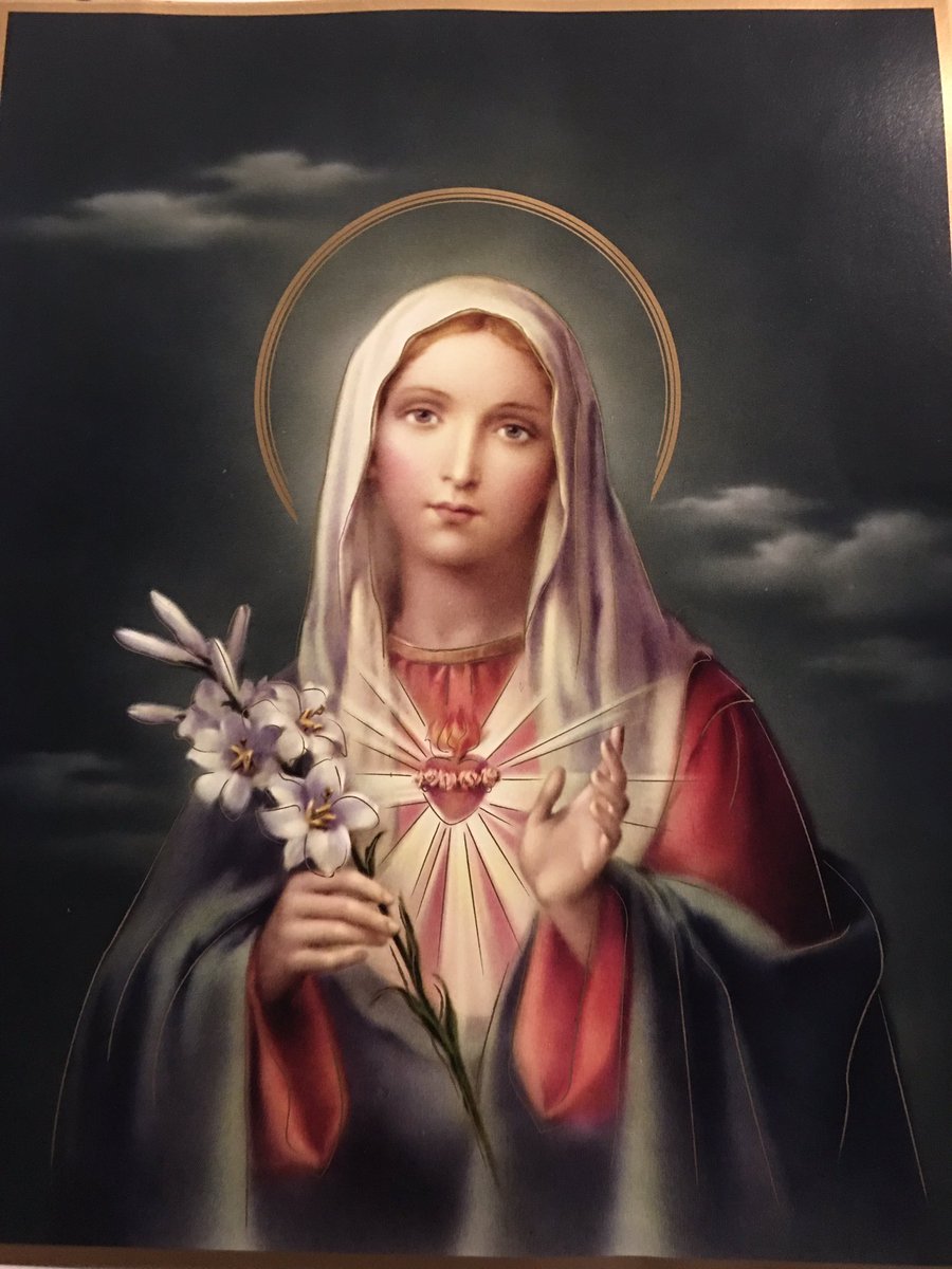 TeresaLastName's tweet photo. Every Sunday our priest hands out holy cards to children when they tithe. Today was this beautiful 8x10 of our Blessed Mother. #GoodPriest https://t.co/4hBYKQgkmu
