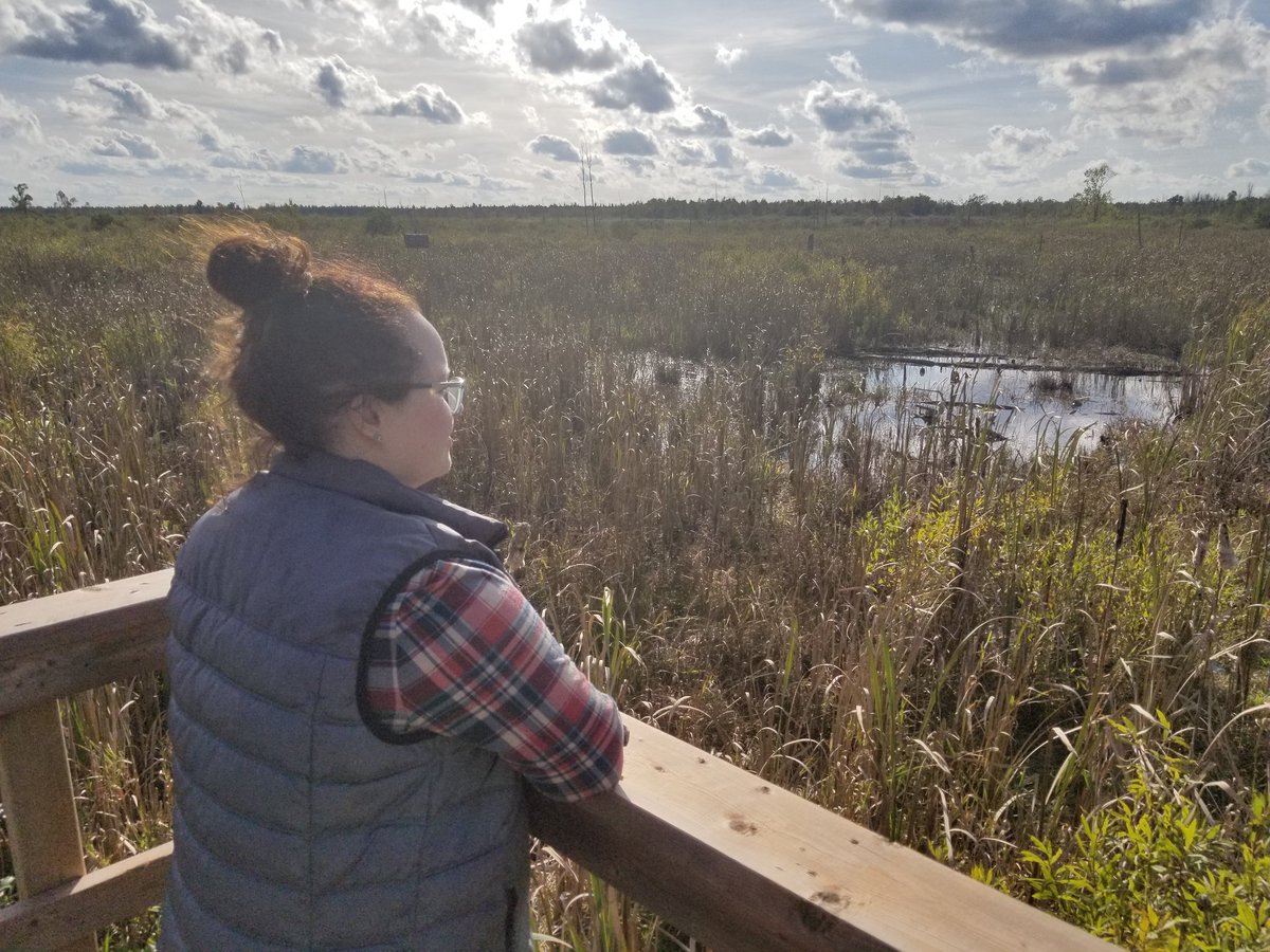 AmandaBrodhagen's tweet photo. Exploring the Ellice Swap - a provincally significant wetland. It's the largest natural area in Perth County, 2,115 acres. Amazing to see the diversity and bird species! 🌿 #elliceward #sunday #hiking #birdwatching #perthcty https://t.co/eHkHR1iaPz