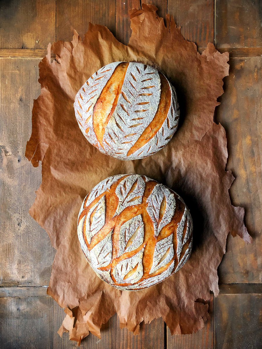 kcline's tweet photo. Just dropping the latest #Sourdough loaves... going with a full-on #Fall homage and trying a new scoring technique.
Only 1 loaf of spelt and focaccia dough remain! Long day! 🥖
#bread #baking #wildyeast #breadscoring #cheflife #wwllt #food https://t.co/7nVyPY2fmg