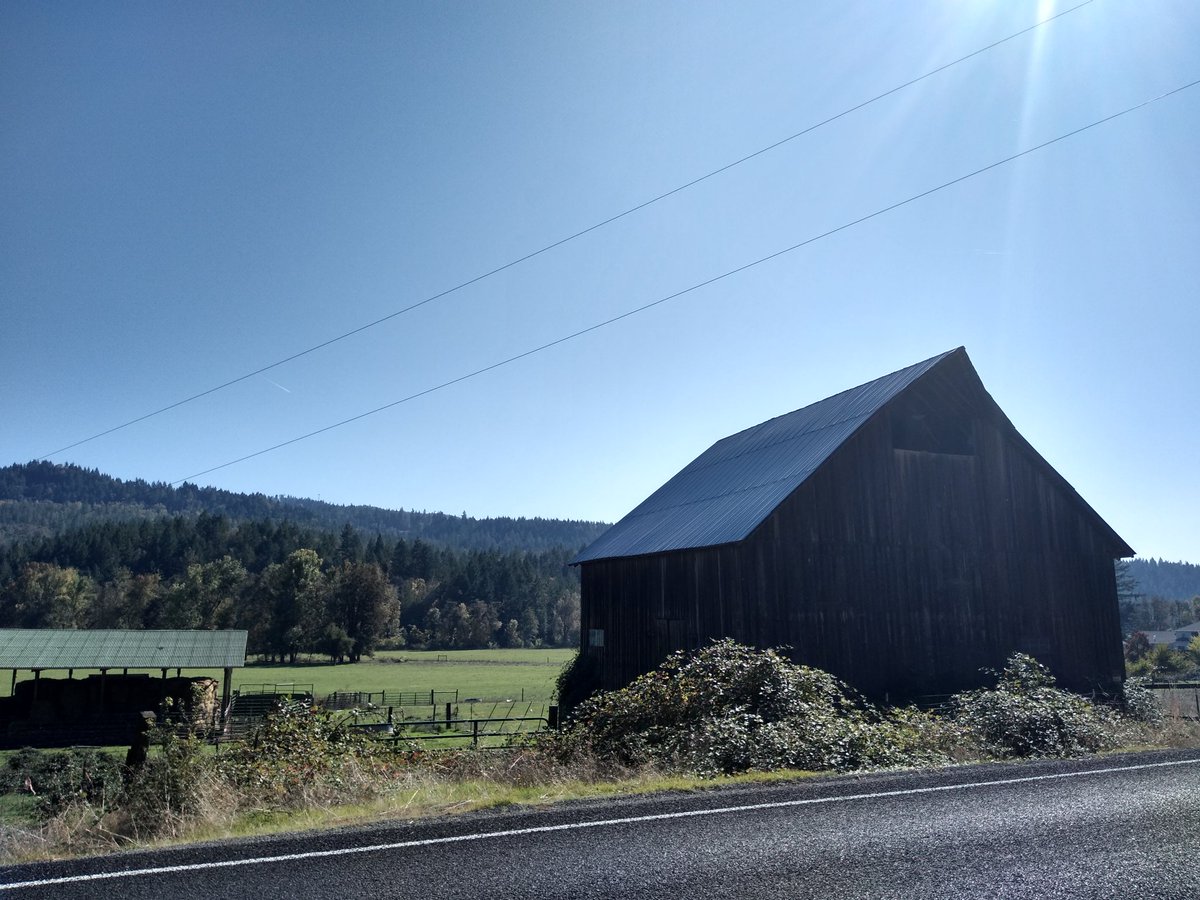 PNWcyclist's tweet photo. Flournoy Valley 🚴🌞 #PNW #CycleOregon #SteelisReal https://t.co/B4sIYrWJuv
