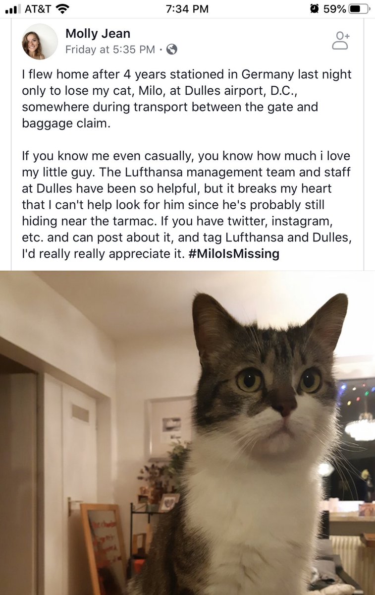 TheFarmedLife's tweet photo. @Dulles_Airport &amp; @lufthansa please find Milo! https://t.co/f1LQXRsphJ