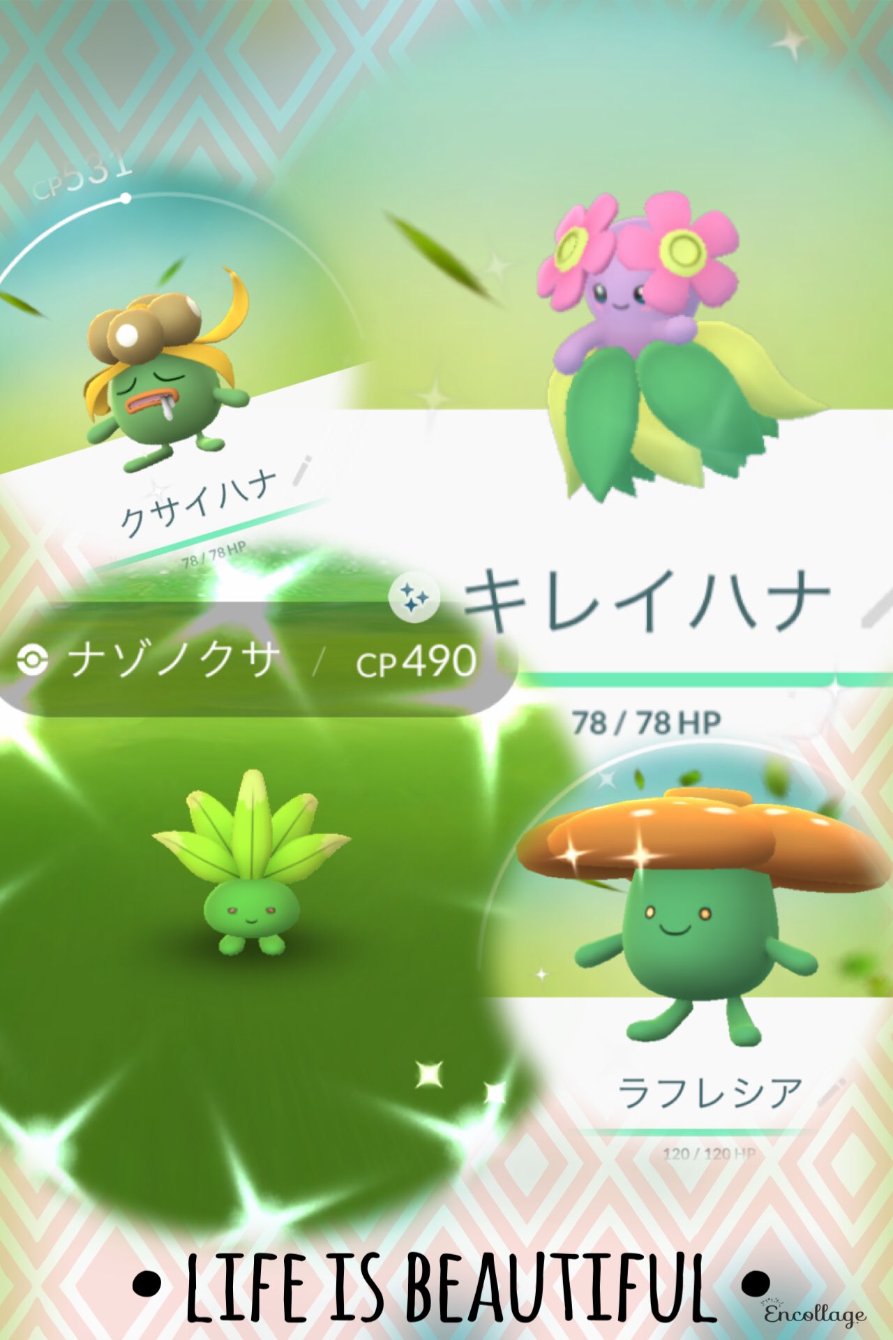 Mw Pokemongo Fukuoka ポケモンgo 台湾 より 最後のツイートです 昨夜 色違いナゾノクサ を 色違いクサイハナ と 色違いラフレシア 色違いキレイハナ へ進化 全て 図鑑登録 出来ました 台湾でも 日本の トレーナーさん と 同じように