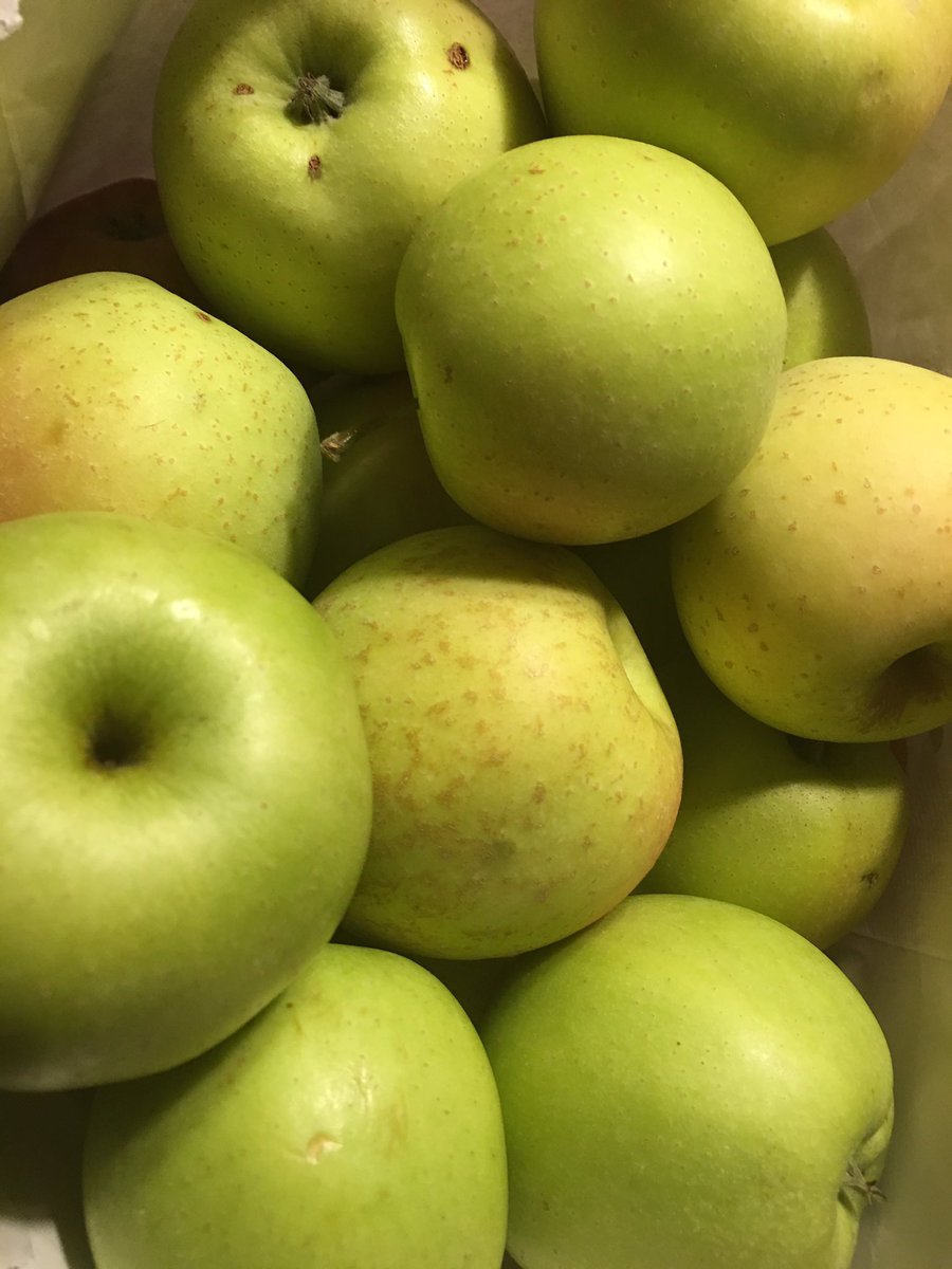 ErinAlMehairi's tweet photo. We had the best time apple picking with the girls tonight at Apple Hill Orchards and having THE best apple donuts Iβve ever tasted! Ended up a beautiful fall Midwest evening together. ππΎπ #applepicking #appleorchards #appledonuts #weekends https://t.co/LZv3CEdo2r