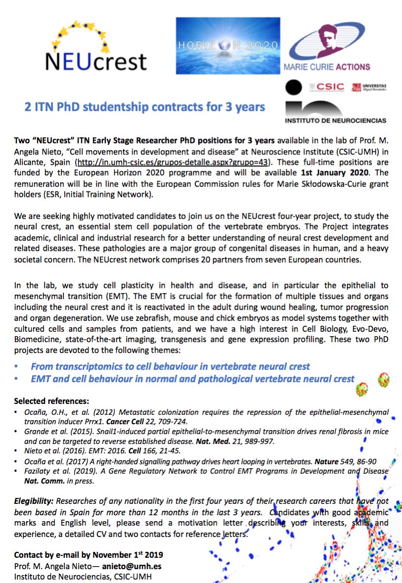Angela Nieto (@nietoangela) on Twitter photo Two EU-ITN Early Researcher PhD positions available for 3 years in my lab from January 2020. Contact anieto@umh.es
<a href="/CSIC/">CSIC</a> <a href="/SEBiolDev/">SEBD</a> <a href="/NeuroAlc/">Instituto de Neurociencias UMH-CSIC</a> <a href="/the_Node/">the Node</a> <a href="/Co_Biologists/">The Company of Biologists</a> @BSocietyDevBiol <a href="/GfEeV/">GfE</a> <a href="/sfbd_biodev/">SFBD-BioDev</a> <a href="/MSCActions/">Marie Skłodowska-Curie Actions</a> <a href="/EU_H2020/">Horizon 2020</a> See image below Two EU-ITN Early Researcher PhD positions available for 3 years in my lab from January 2020. Contact anieto@umh.es
<a href="/CSIC/">CSIC</a> <a href="/SEBiolDev/">SEBD</a> <a href="/NeuroAlc/">Instituto de Neurociencias UMH-CSIC</a> <a href="/the_Node/">the Node</a> <a href="/Co_Biologists/">The Company of Biologists</a> @BSocietyDevBiol <a href="/GfEeV/">GfE</a> <a href="/sfbd_biodev/">SFBD-BioDev</a> <a href="/MSCActions/">Marie Skłodowska-Curie Actions</a> <a href="/EU_H2020/">Horizon 2020</a> See image below