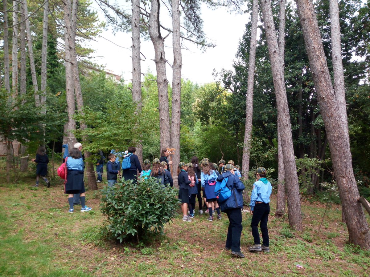 WWFMolise's tweet photo. Diverse le attività proposte ai visitatori dagli Scout dell'AGESCI del Gruppo Campobasso 6:
sicuramente affascinante il "percorso Hebert", un percorso sportivo interamente realizzato con gli elementi naturali e l'ausilio di semplici corde 🐼🌳💚 #UrbanNature #Molise @WWFitalia https://t.co/BEbnNiiXWL