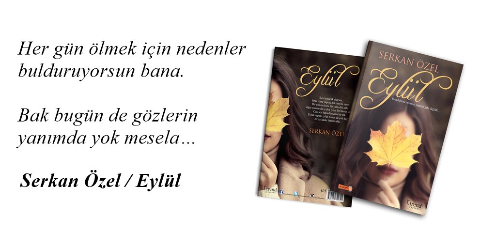 Serkan Özel tweet media