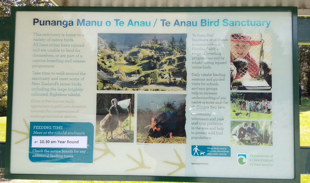 さくら ニュージーランド南島 テ アナウ鳥類保護区 Te Anau Bird Sanctuary タカヘをはじめ カカなどのニュージーランド在来種の鳥たちに会うことができます まつぼっくりなどで遊んだり くちばしを使って とうもろこしの一粒一粒の中身だけを器用に さくら ニュージーランド南島 テ アナウ鳥類保護区 Te Anau Bird Sanctuary タカヘをはじめ カカなどのニュージーランド在来種の鳥たちに会うことができます まつぼっくりなどで遊んだり くちばしを使って とうもろこしの一粒一粒の中身だけを器用に
