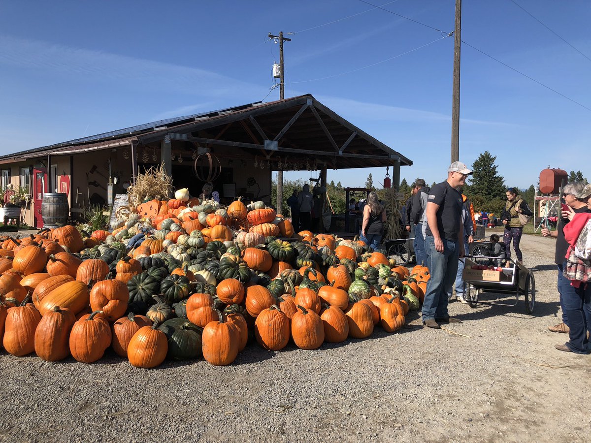 Briankxly4's tweet photo. A gorgeous day to spend in Greenbluff. #4NewsNow #hiddenacres https://t.co/xrPDkC1JAv
