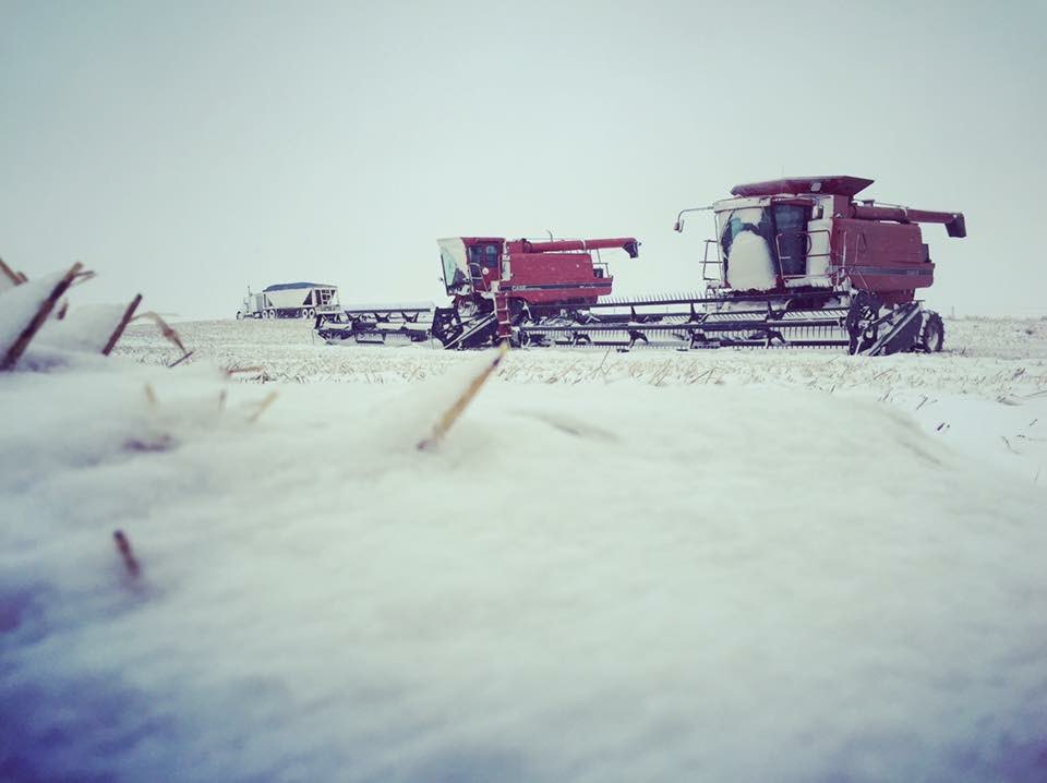 This season has been very similar to the challenges of harvest 2016, picture shown below. 

If you need someone to talk to my door is always open, or there are #’s below 👇

Crisis Services Canada 833-456-4566
Alberta 877-303-2642
Saskatchewan 800-667-4442
Manitoba 866-367-3276