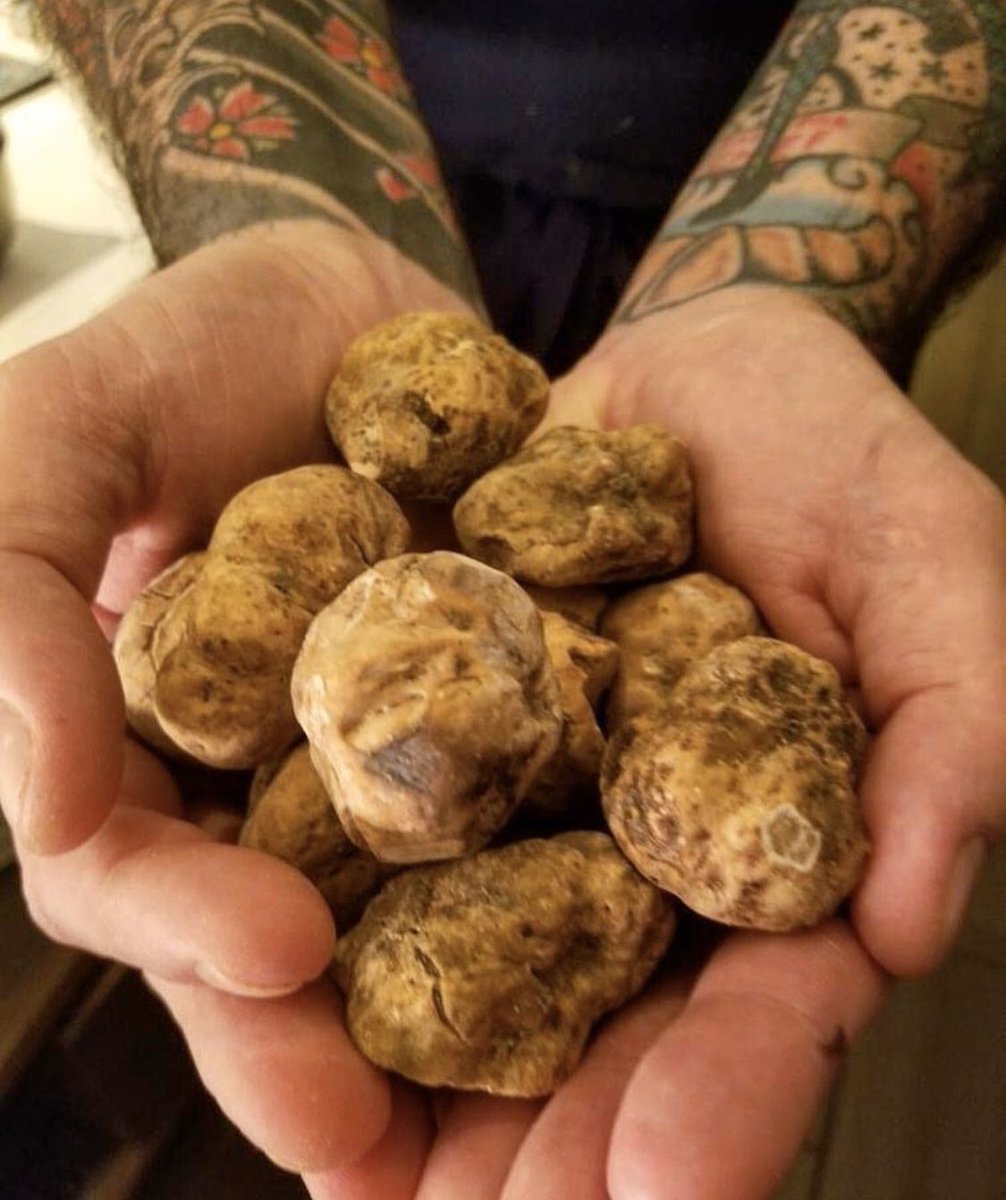 Alba White Truffles, anyone?