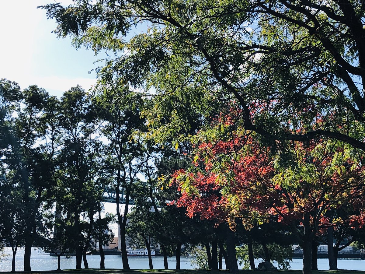 EilishoO's tweet photo. Picture perfect day for the ALS/MS @WalkForLiving @DappersHouse in Chelsea, with emcee Matt Siegel @MattyShow, and @MaldenCatholic students, staff &amp; families. @PrincipalCenca @MissFoley2 @MCBoysPrincipal https://t.co/uax1kxeMPg