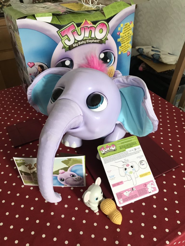 juno baby elephant argos