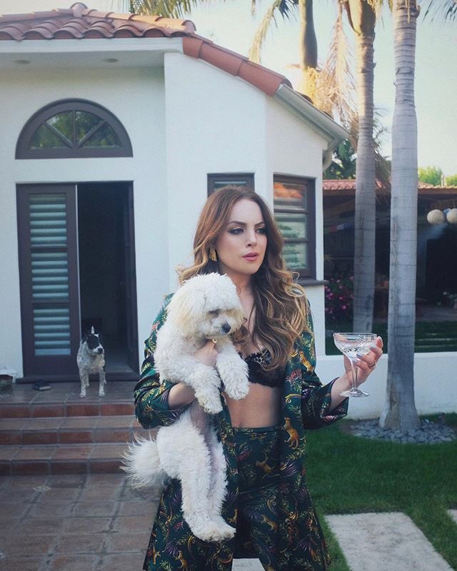 “Whose dog has invaded my home?”

Holding the animal aloft with a look of unimpressed confusion.