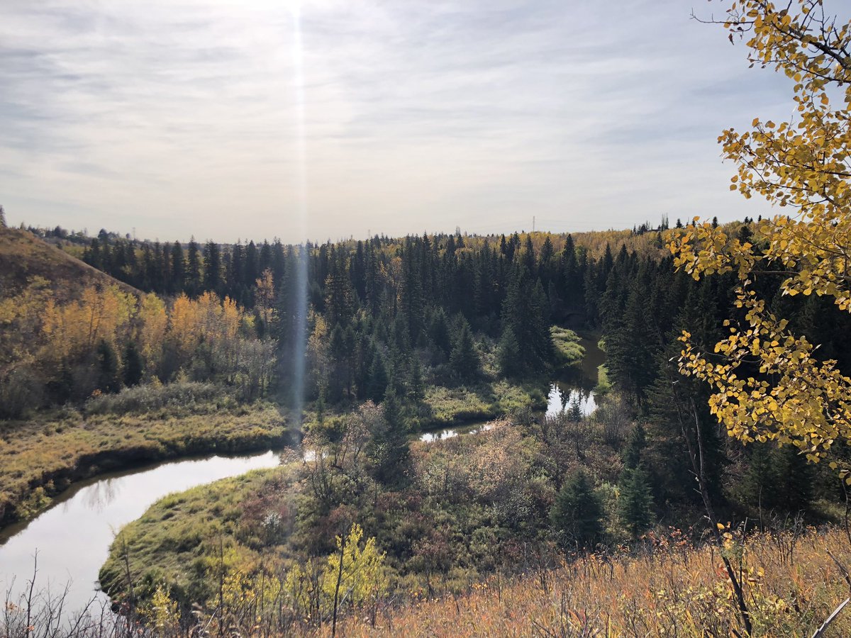 🍂🍃What an incredible fall weekend🍃🍂 Perfect for a couple Grizzly Ultra training runs🐻👱🏼‍♀️
#ExploreEdmonton #yegrun