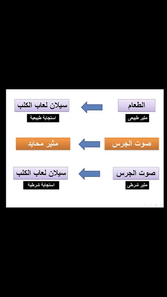 على الشرطي مثال التعلم الكلاسيكي قوانين بافلوف