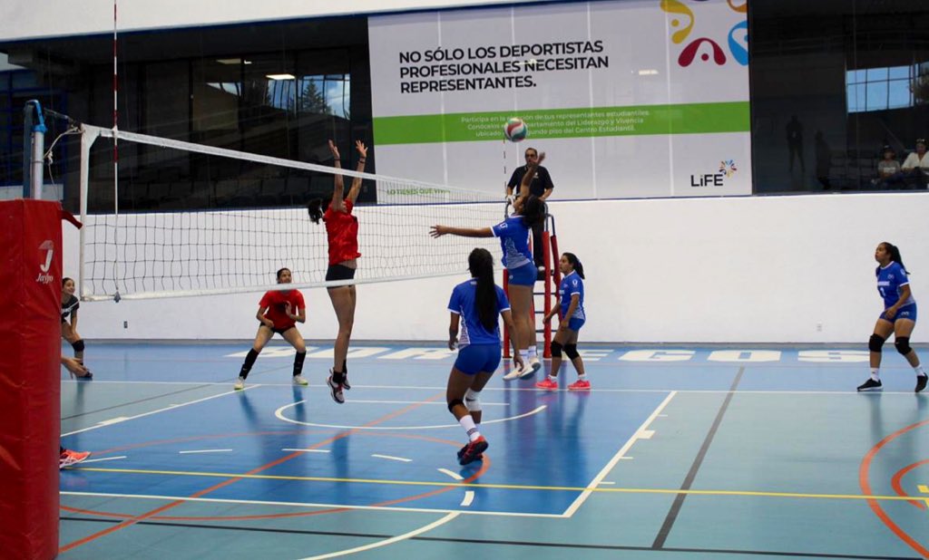 TECcampusCVA's tweet photo. 🥈 Felicitamos a las Borreguitas de Voleibol Mayor por su subcampeonato en el #IntercampusTec 🏐💙👊🏻 #OrgulloTec #SoyTec #CampusCuerna https://t.co/yCBjI0Dqmk