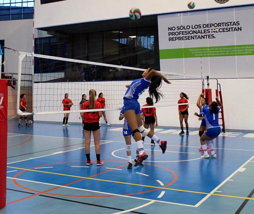 TECcampusCVA's tweet photo. 🥈 Felicitamos a las Borreguitas de Voleibol Mayor por su subcampeonato en el #IntercampusTec 🏐💙👊🏻 #OrgulloTec #SoyTec #CampusCuerna https://t.co/yCBjI0Dqmk