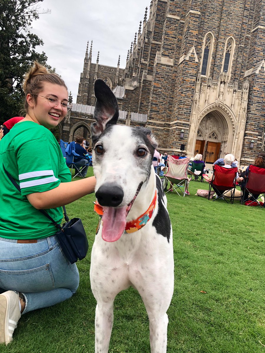DurhamNC's tweet photo. Every year @DukeChapel hosts The Blessing of the Animals where creatures of all shapes, sizes, and scales received a blessing 🙏

Blessed thread 👇 https://t.co/Ugg0l7oqIk