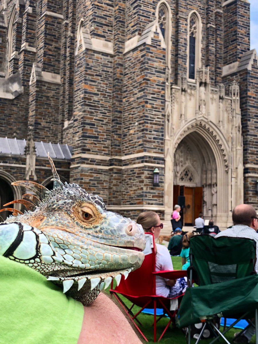 DurhamNC's tweet photo. Every year @DukeChapel hosts The Blessing of the Animals where creatures of all shapes, sizes, and scales received a blessing 🙏

Blessed thread 👇 https://t.co/Ugg0l7oqIk