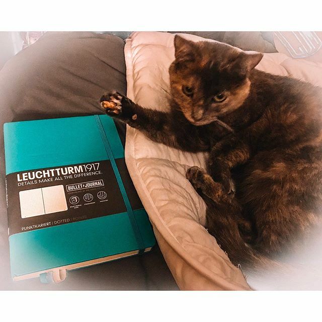 courtneyduncil's tweet photo. Hey guys Iโm unveiling a #brandnew #bulletjournal for a #brandnewweek. #takethatmonday #igotthis ๐ช๐ป ๐ ๐บ #bossbabe #warriormindset #calicocatsofinstagram #bujo #lawyerlife https://t.co/ejTWrL7jri https://t.co/HdQ1xepDT8