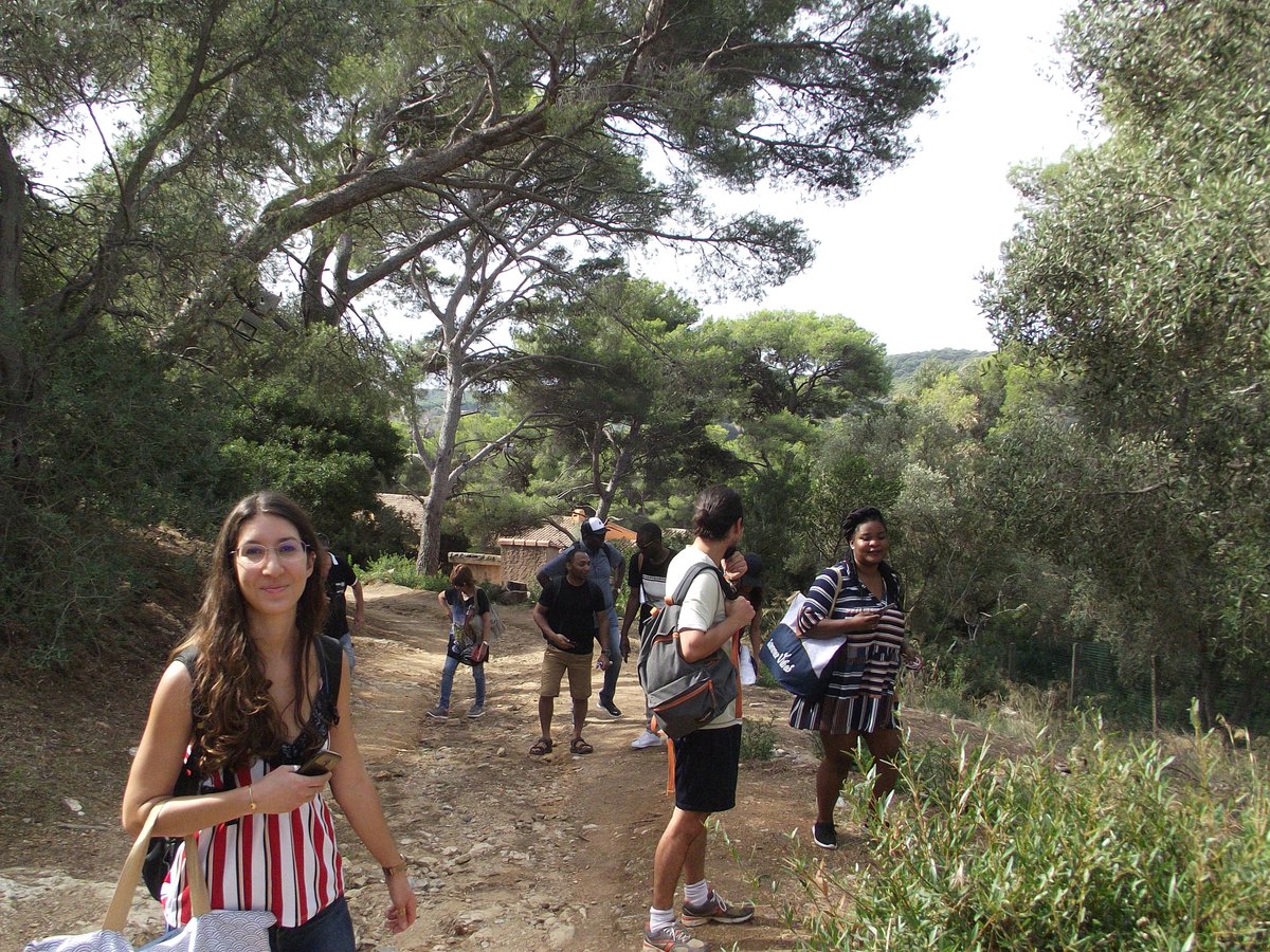 Doctorants UTLN tweet media