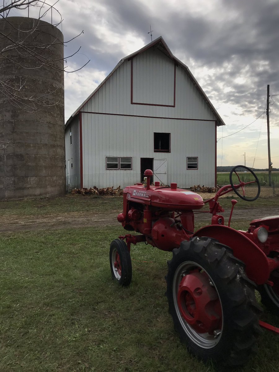 Fuit Gummy On Twitter Picked Up Some Fresh Eggs And Lavender