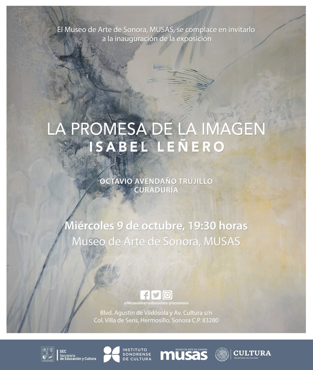 Museo de Arte Musas tweet media