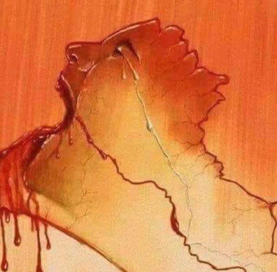 Ruwaa (@ruwaa7) on Twitter photo 