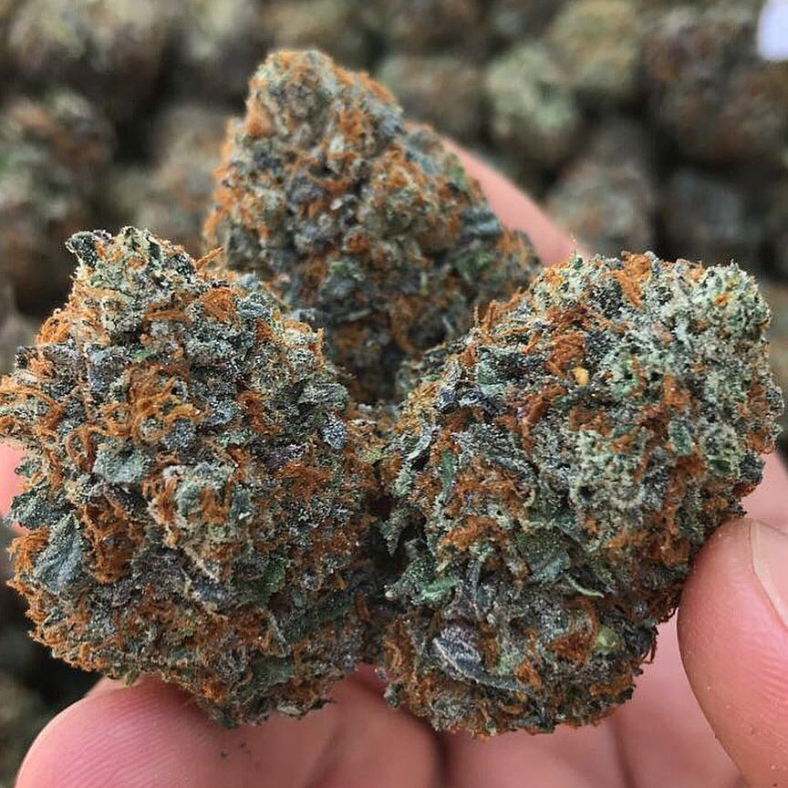 StarTexaco's tweet image. Weed is available