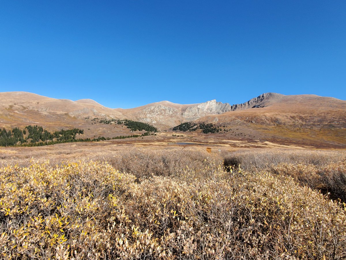 jovoeo's tweet image. I hope your Sunday was as great as mine #coloradotrails