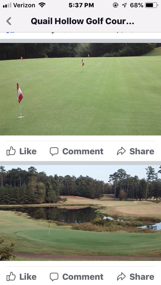 QHgolfpro's tweet photo. Greens are looking great at Quail Hollow! https://t.co/PDdH41eTqP