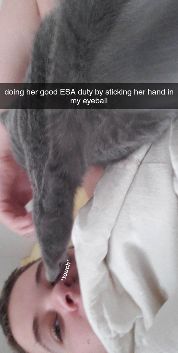 here are some Snapped Chats to make up for my Long Ab Sense!!!!!!!!!