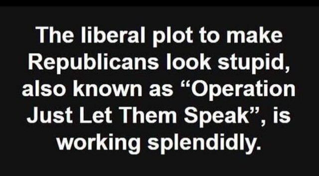 RaeNancy's tweet photo. @GOPLeader This is more proof that you back the wrong ass.
#GOPLies 
#GOPComplicitTraitors https://t.co/697EdPOzBJ