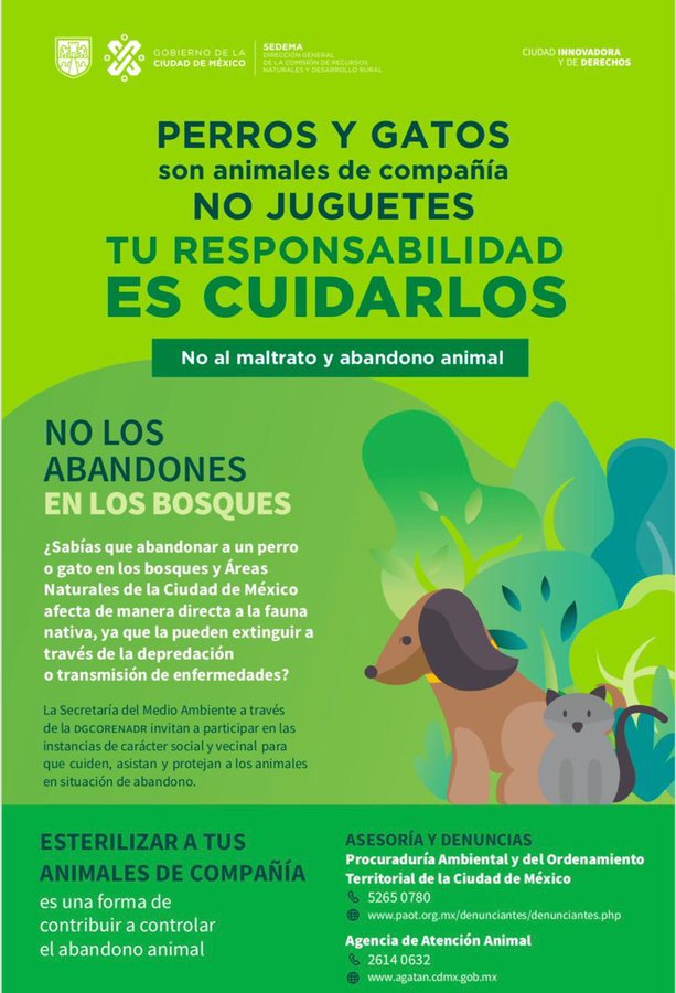 Cartel informativo del Gobierno de la Ciudad de México que invita a las personas a no abandonar a sus mascotas, el cartel tiene ilustraciones de lo que parece ser un bosque, un perro y un gato.