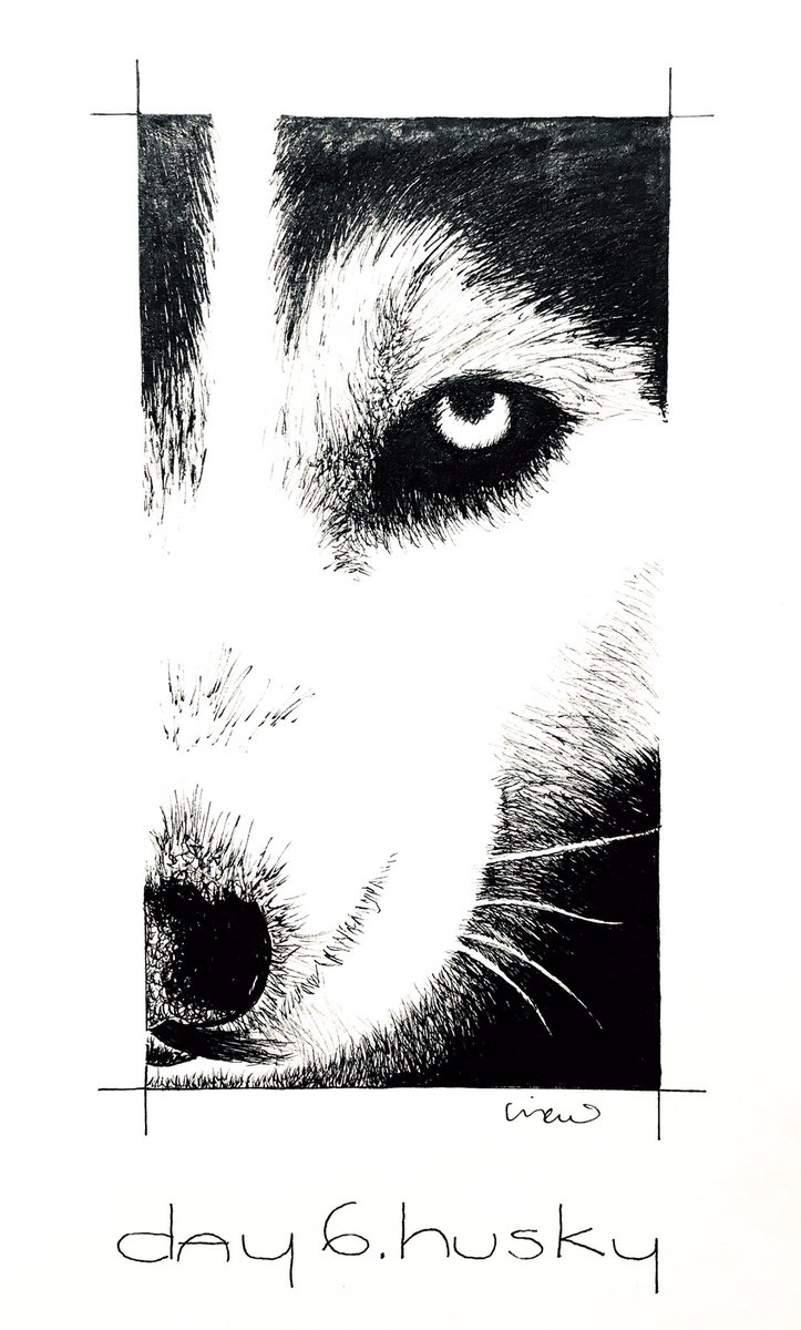 atloaiza's tweet photo. Day 6. *HUSKY*
#day6 #husky #huskylife #snowdog #dogsledge #furyanimals #atloaiza #inktober #inktober2019 #onedayonedrawing #lettheinkingbegin #jakeparker #jakeparkerinktober https://t.co/8Lxgwjlj9z