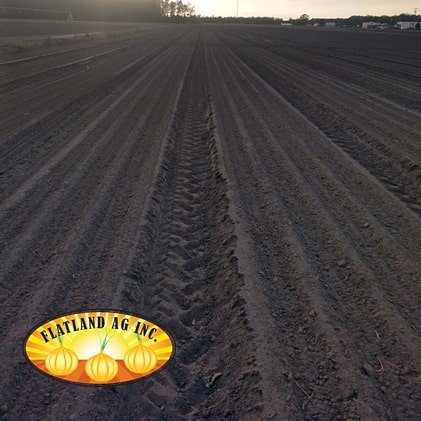 Bjptweet's tweet photo. Let the planting begin! #gottobencagriculture #flatlandsweets #flatlandreds #planting2019 #harvest2020 #usdacertified #certifiedroadsidemarket https://t.co/qeGIUWcgNv