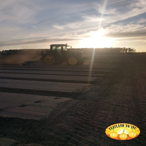Bjptweet's tweet photo. Let the planting begin! #gottobencagriculture #flatlandsweets #flatlandreds #planting2019 #harvest2020 #usdacertified #certifiedroadsidemarket https://t.co/qeGIUWcgNv