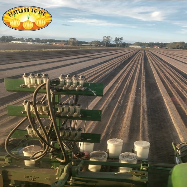 Bjptweet's tweet photo. Let the planting begin! #gottobencagriculture #flatlandsweets #flatlandreds #planting2019 #harvest2020 #usdacertified #certifiedroadsidemarket https://t.co/qeGIUWcgNv